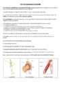 Leçon Les mouvements corporels (muscles et squelette) : CE2