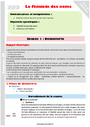 Accord du nom / pluriels particuliers - Orthographe - Français - CM1 - Séquences didactiques CRPE 2025