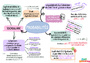 Carte mentale Calcul de probabilités : 5ème