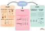 Carte mentale Comparaison de fractions : 5ème