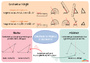 Carte mentale Les droites des triangles : 5ème