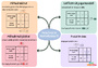 Carte mentale Organisation et gestion des données : 5ème