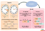 Carte mentale Temps et durée heure, minute, seconde : 5ème