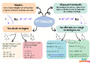 Carte mentale Théorème de Pythagore et sa réciproque : 3ème