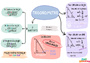 Carte mentale Trigonométrie : 3ème