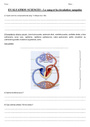 Evaluation La circulation sanguine : Cycle 3