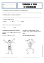 Evaluation Les mouvements corporels (muscles et squelette) : Cycle 2