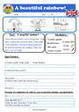 Exercice Level 1 - Anglais : Cycle 3