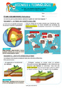 Exercice Planète terre, êtres vivants et environnement : CM2