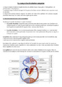 Leçon, exercice et évaluation :<br/> La circulation sanguine : Cycle 3
