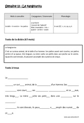 Le kangourou – Dictée préparée – Semaine 13 : 2eme Primaire