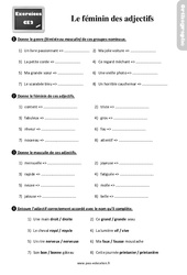 Exercices, révisions sur le féminin des adjectifs au : 3eme Primaire