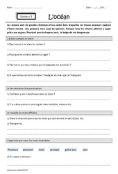 an – en – Dictée accompagnée n°2 : 3eme Primaire