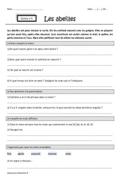 Son ai, è, ê, ei, et – Dictée accompagnée n°5 : 3eme Primaire
