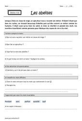 Son j – Ponctuation – Dictée accompagnée n°10 : 3eme Primaire