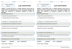 Les marmottes – Dictée accompagnée n°11 : 2eme Primaire