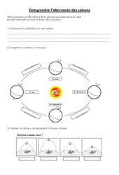 Comprendre l’alternance des saisons – Exercices – Sciences : 3eme, 4eme Primaire