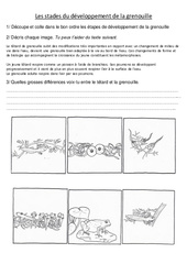 Stades du développement de la grenouille – Exercices – Sciences : 3eme, 4eme Primaire