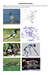 Classification des animaux – 1 – Exercices – Sciences : 4eme Primaire