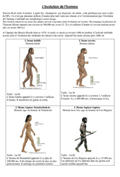 Evolution de l’homme – Exercices – Sciences : 5eme Primaire
