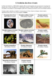 Evolution des premiers êtres vivants – Exercices – Sciences : 5eme Primaire
