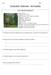 Fossiles – Examen Evaluation : 5eme Primaire
