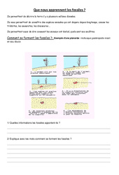 Que nous apprennent les fossiles – Exercices – Sciences : 5eme Primaire