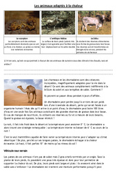 Animaux adaptés à la chaleur – Exercices – Sciences : 4eme, 5eme Primaire
