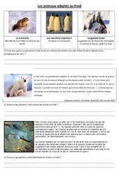 Animaux adaptés au froid – Exercices – Sciences : 4eme, 5eme Primaire