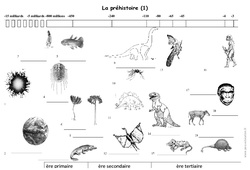 Préhistoire – Frise chronologique – Exercices corrigés : 3eme Primaire