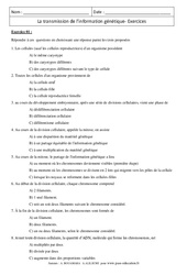 Transmission de l’information génétique – Exercices corrigés – Remédiation – SVT : 3eme Secondaire