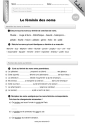 Le féminin des noms - CM1 - Evaluation - Bilan - PDF à imprimer