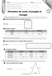 Périmètre du carré du rectangle et du triangle - CM2 - Evaluation - Bilan - PDF à imprimer