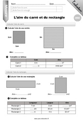 Calculer l’aire du carré et du rectangle - CM2- Evaluation - Bilan - PDF à imprimer
