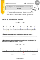 Nb D cimaux Et Droite Gradu e CM1 Exercice valuation R vision 