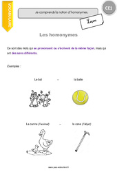 Homonymes - CE1 - Leçon <small style='color:inherit;'>(téléchargement gratuit)</small>