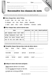 Reconnaitre les classes de mots - Evaluation - Bilan - CE1 - PDF à imprimer