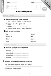 Synonymes - Evaluation - Bilan - CE1 - PDF à imprimer