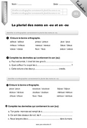 Pluriel des noms en -au et en -eau - CE1 - Evaluation - Bilan - PDF à imprimer