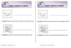 Animal ou végétal - CP - Leçon - PDF gratuit à imprimer