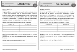 Morsures - Les substituts – Exercices de lecture – Ce1 - PDF à imprimer