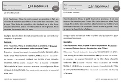 Le petit écureuil – Exercices de lecture – Ce1 - Les substituts - PDF à imprimer