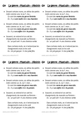Masculin - Féminin - Le genre – Ce1 - Leçon - PDF gratuit à imprimer