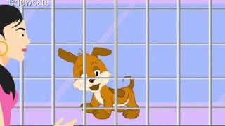 En vitrine – Animaux en anglais – Ce2 – Cm1 – Cm2 - Cycle 3