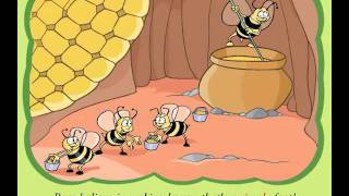 Les abeilles et les ours – Animaux en anglais – Ce2 – Cm1 – Cm2 - Cycle 3