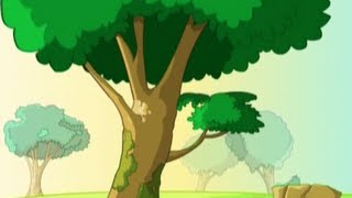 Le plus bel arbre de la prairie - Anglais -  Ce2 – Cm1 – Cm2 - Cycle 2