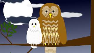 Animaux qui s'entraident – Anglais – Ce2 – Cm1 – Cm2 - Cycle 3