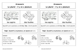 Pluriel - Cp - Leçon - PDF gratuit à imprimer