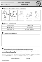 Adjectifs – Exercices – Cp – Grammaire – Cycle 2 - PDF à imprimer