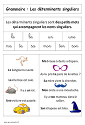 Les déterminants singuliers – Affiche pour la classe – Cp – Grammaire – Cycle 2